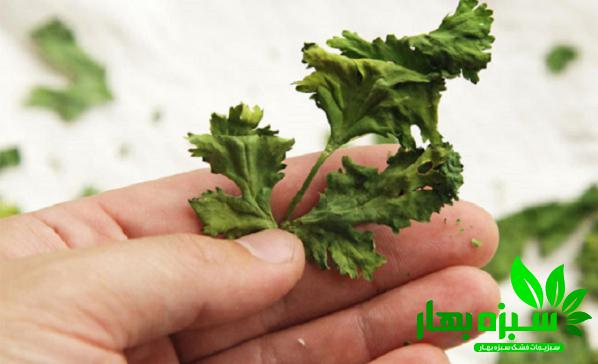 معرفی بهترین سبزی خشک گشنیز