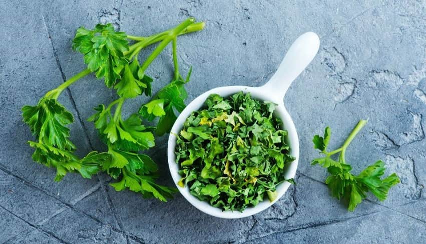 عرضه جعفری خشک