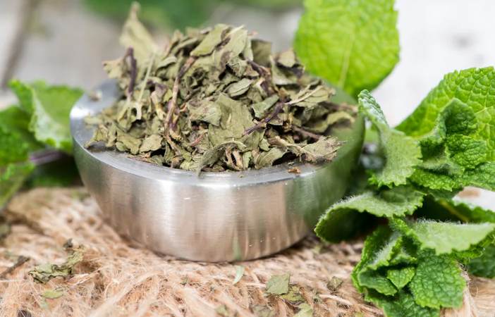 عرضه نعناع خشک خانگی