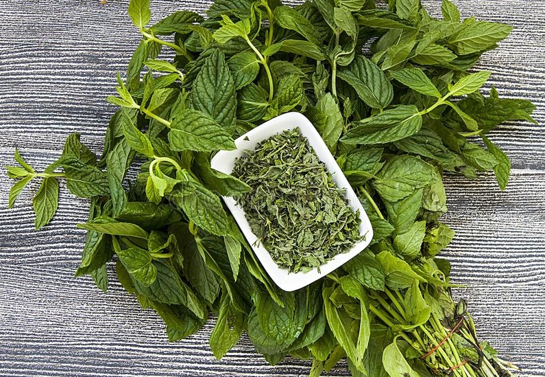 سفارش نعناع خشک خانگی